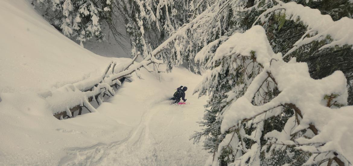 Chamonix ski poudreuse